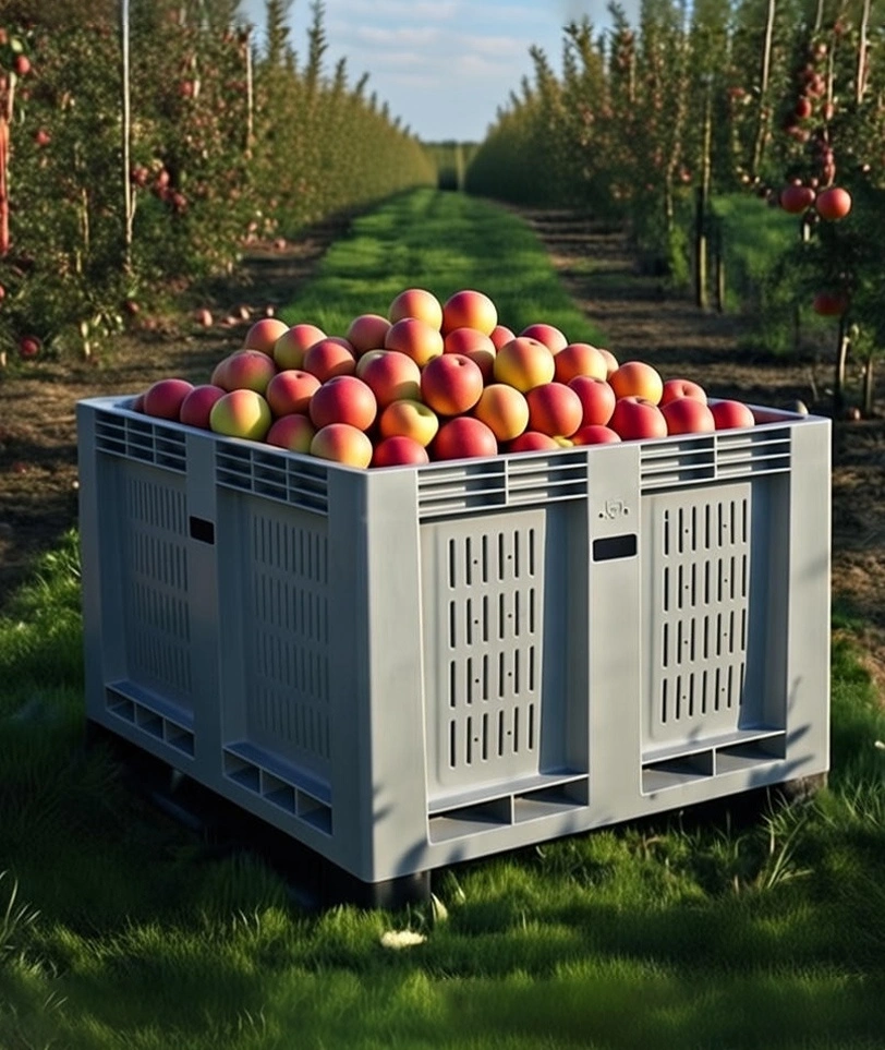 Сбор и хранение фруктов