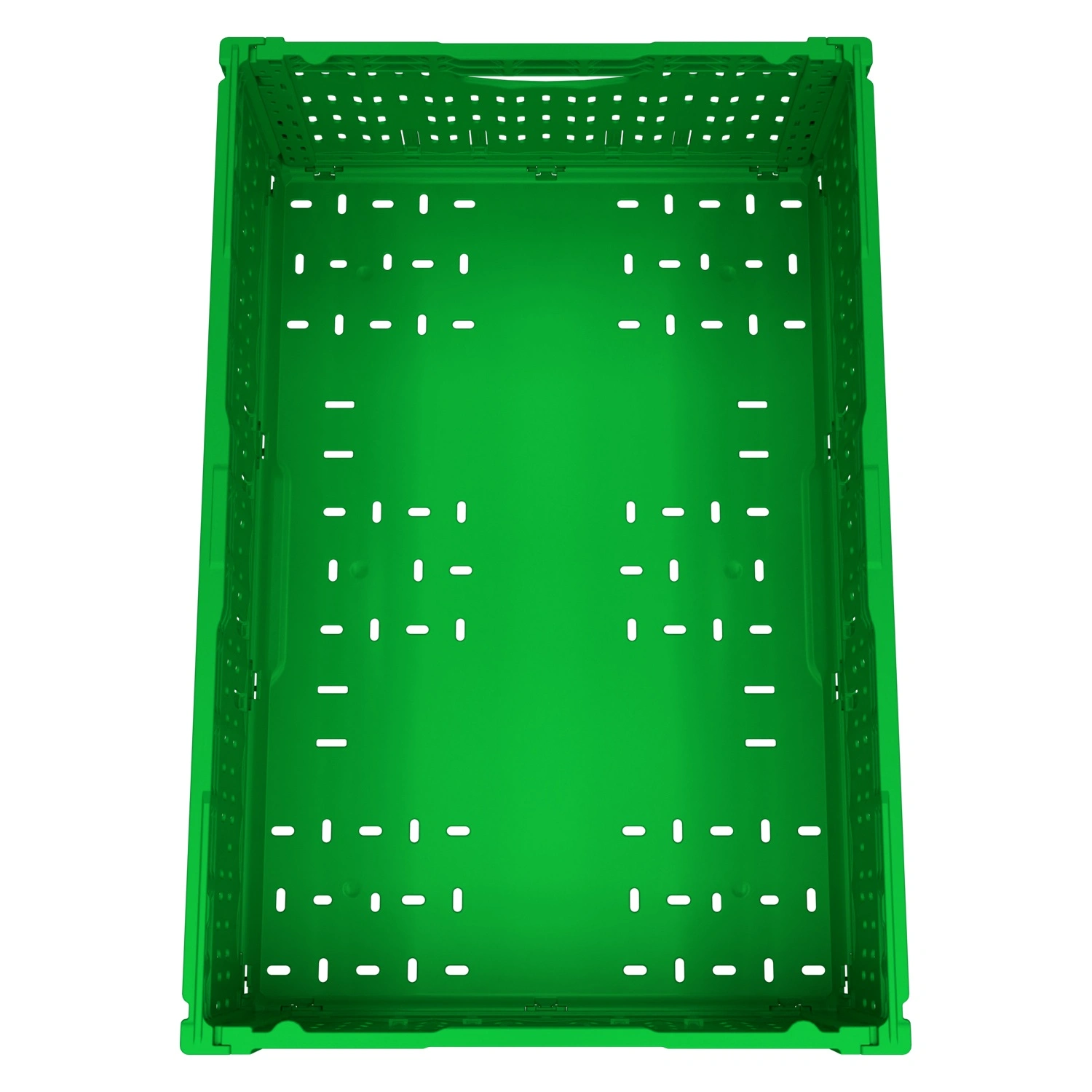 Складной ящик FC-6418 600х400х180 мм iPlast салатовый перфорированный