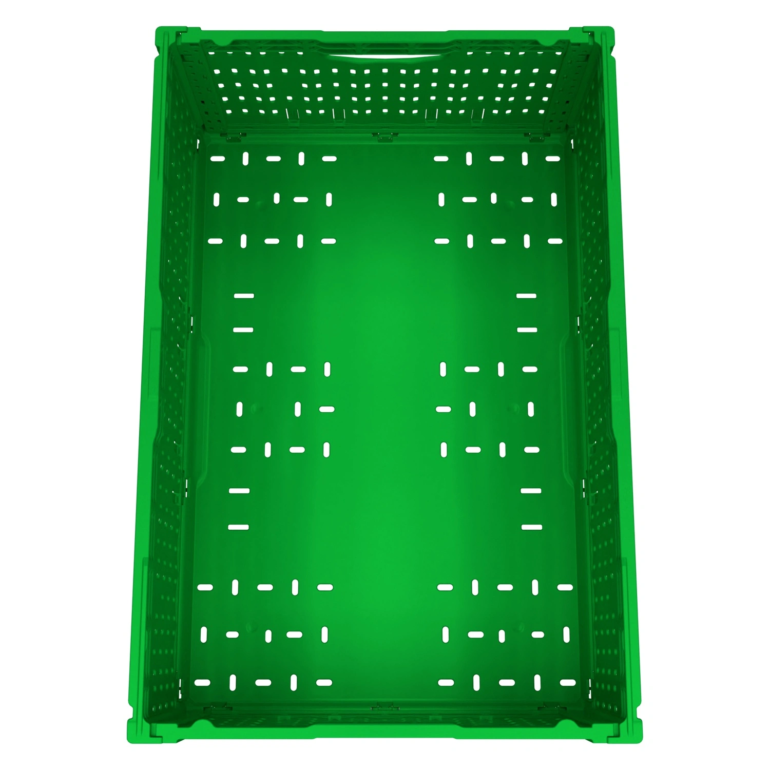Складной ящик FC-6422 600х400х220 мм iPlast салатовый перфорированный
