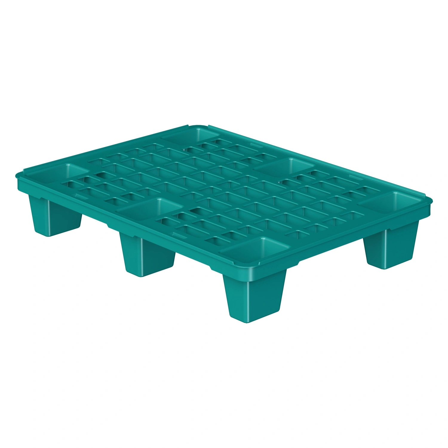 Пластиковый паллет 800x600x135 мм iPlast бирюзовый перфорированный на ножках с бортиком