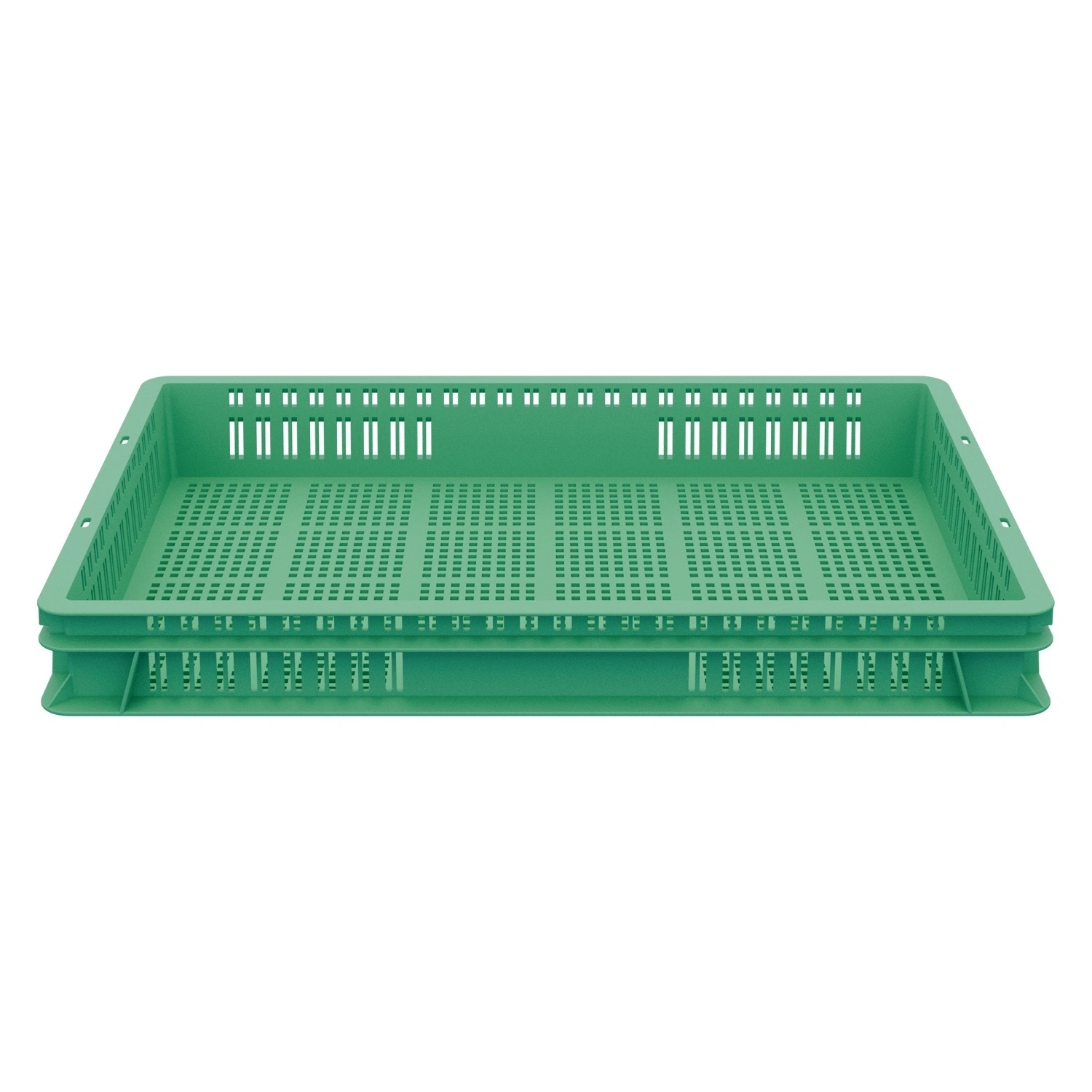 Пищевой ящик универсальный 600х400х75 мм iPlast изумрудный ЭКО с перфорированными стенками и дном