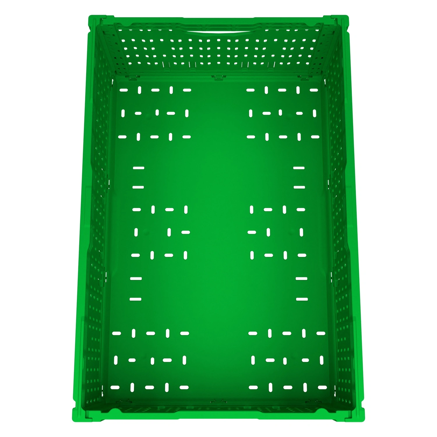 Складной ящик FC-6422 600х400х220 мм iPlast салатовый перфорированный