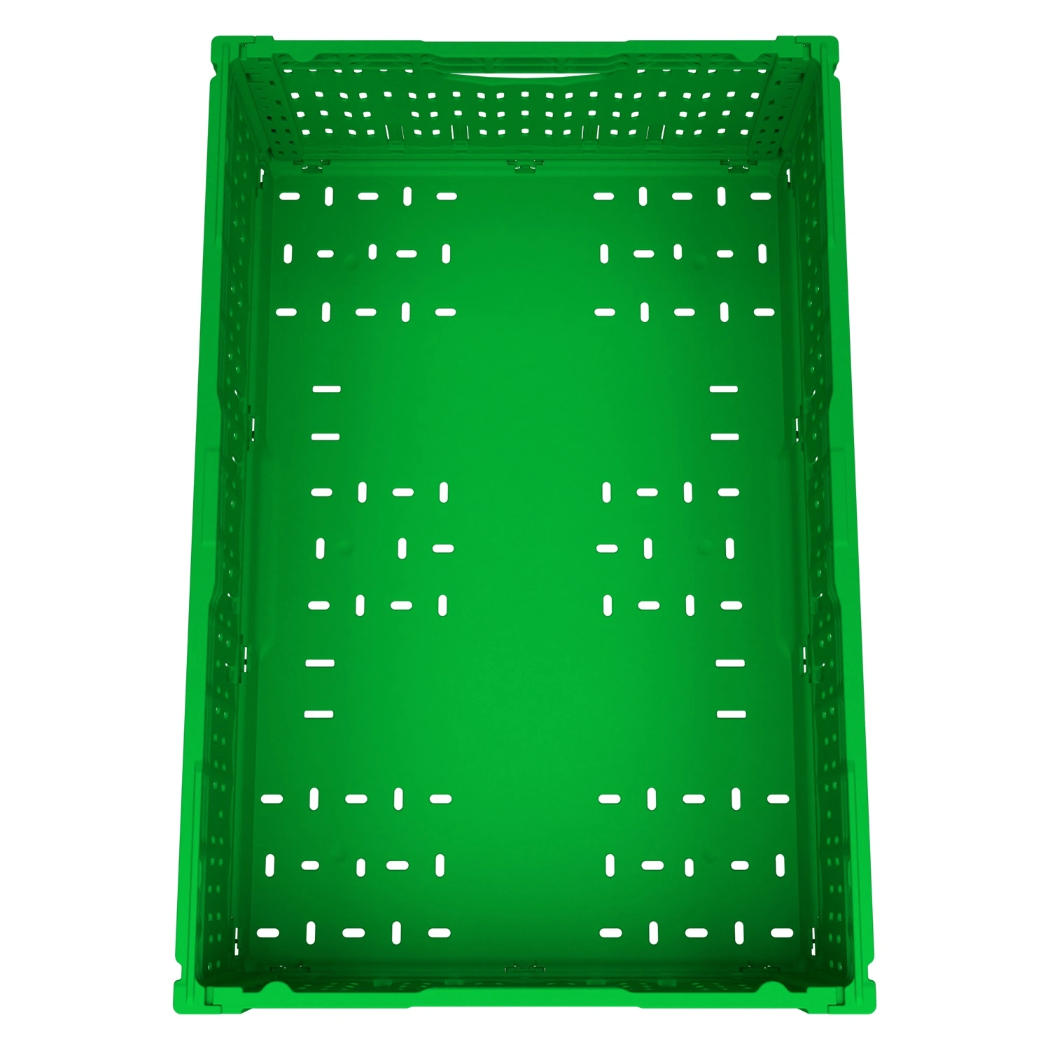 Складной ящик FC-6418 600х400х180 мм iPlast салатовый перфорированный