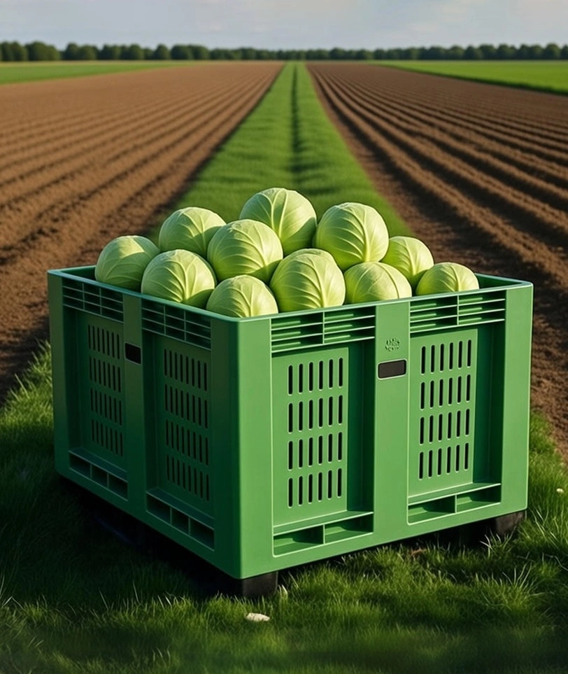 Сбор и хранение овощей