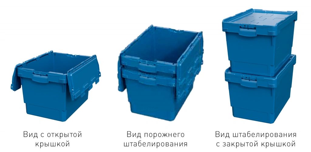 Контейнер KV 6437