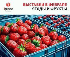 Анонс выставок в феврале
